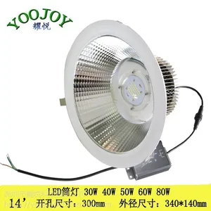 80W筒灯 开孔14寸 30公分 LED吸顶筒灯