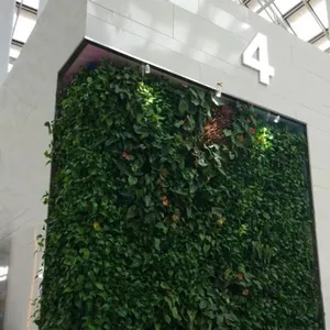 绿植墙立体绿化壁挂 上海绿帮园艺专业设计室内绿植墙 中小型l植物 别墅庭院 园林景观设计及养护