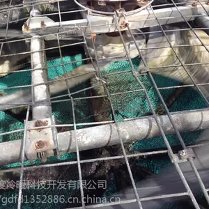 北海机械通风冷却塔维修逆流式风度圆形填料更换绿色填料更换