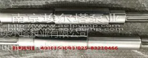 滨特尔水泵联轴器柱销配件,滨特尔水泵PWT泵轴配件,滨特尔水泵机械密封配件