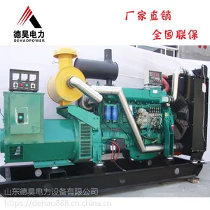 柴油发电机组200kw 德昊电力 厂家直销