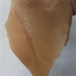 专业切片机、新沂切片机、认准翰科机械