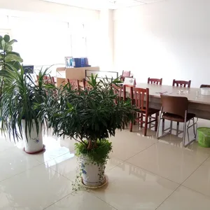 ������ɷ���ó���޹�˾