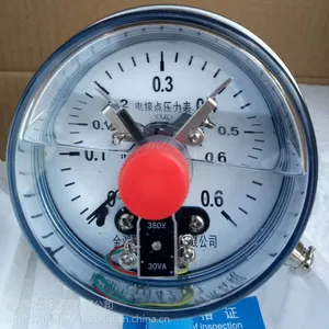Y-100BFZ���������ѹ����,316L��0-1MPa��