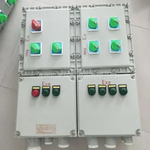 森恩防爆配电箱厂家BXM(D)-100A