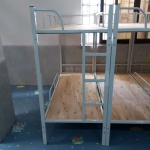 ��ݸ��������������ͯ�������� �׶�԰����Сѧ������