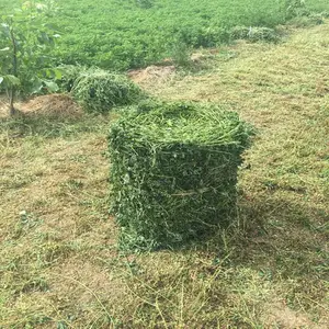 �����Զ�����ʽ��ʰ���ӹ����Ƴ��� �Զ����ϴ�����ʲô�۸�
