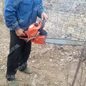 ��ľ���������� ������������