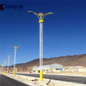 厂家批发 定制led成套路灯8米10米12米 新款led路灯云南路灯价格