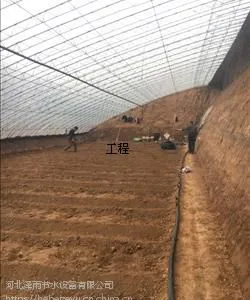 ������ֲ�ι����Ĺ�˾�ι�ܲĳ���ֱ��