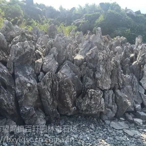 上海英德石 英石 英石假山 上海假山石