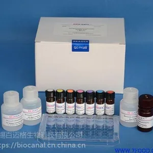 GST标签蛋白纯化磁珠