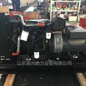 WEICHAI/潍柴WP2.3D47E201机械调速柴油机