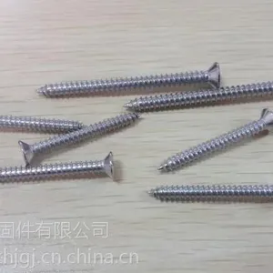 不锈钢自攻螺钉 温州自攻螺丝厂家 正汉非标准件