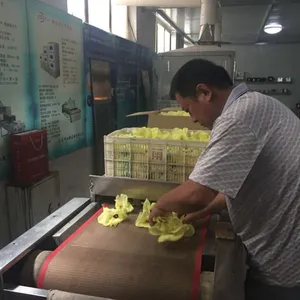 山东济南微波进口肉解冻设备