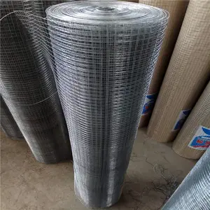 �ȶ�п�纸�� �纸����� ��˿������