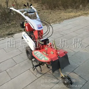 ũ�ò��ʹ�д󽪿�����־�ɴ�����ֲ��¢��