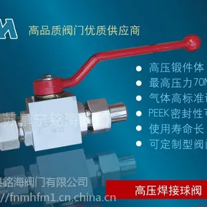 Q21N-320P高压不锈钢外螺纹球阀
