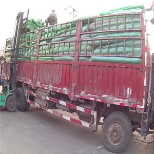 ������ ���������� ���˸�����