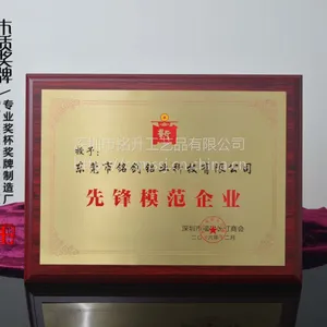 商会奖杯奖牌,模范单位奖牌,深圳商会聘书奖牌定制,砂金奖牌