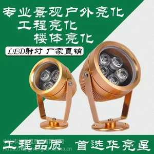 广东华亮星大功率投光灯文旅古建led瓦头灯生产供应