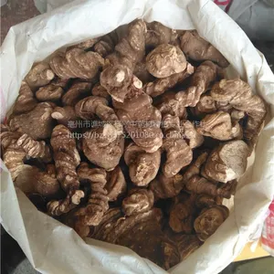 ��¥�г���/��¥����Ǯ��