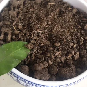 ��ݮר�÷� Ģ���� ţ��� ר�÷� ��Ч�л��� ������***