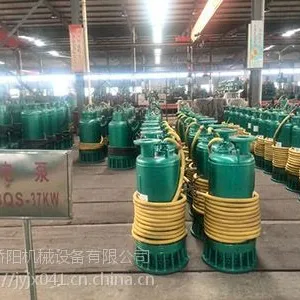 BQS30-80-18.5/NǱˮ������ɳ�����������
