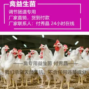 �������ڳ������������ƴ󳦸˾�