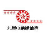 临清市九星轴承科技有限公司