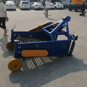 �������ջ���۸� �������ջ��е ʥ̩�������ջ���۸�