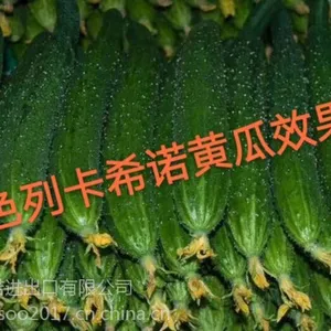 连续阴雨、采果偏迟,今年的柑橘花质堪忧!该如何壮花保花?