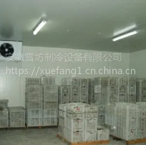 襄樊市梨子冷藏冷库厂家建设