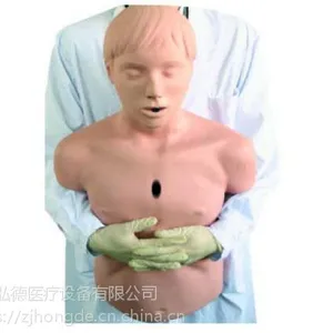浙江弘德***成人气道梗塞及CPR模型HD/CPR155