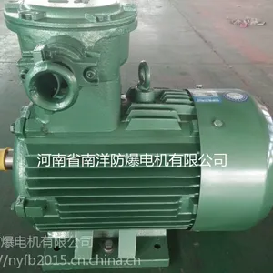 IP65粉尘防爆电机型号