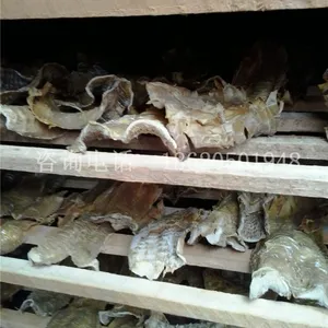 空气能笋干烘干机节能环保型烘干机生产厂家