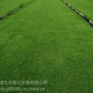 ��ɳ��Ľ��Ӻ���ݣ��첥��Ƥ