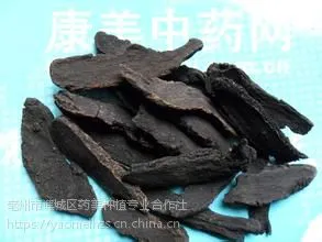 玄参种苗玄参芽价格 玄参种苗一手供应