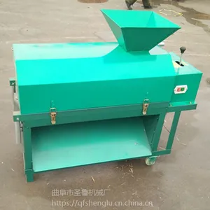 ����Ұ�Ƥ�� ʥ³���Ұ��ǻ� ���õ���ϴȥƤ��