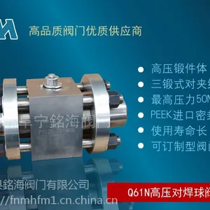 Q61N不锈钢高压CNG球阀