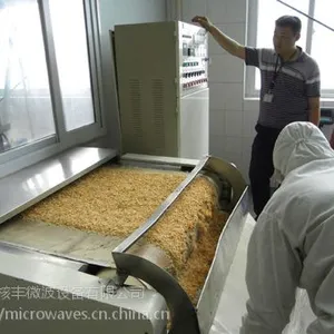 供应核丰GUE40A隧道式面包糠微波干燥杀菌机