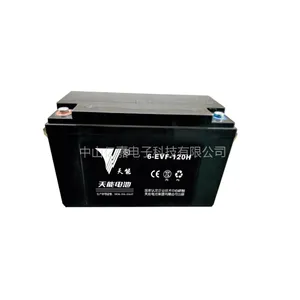 天能6-EVF-120H免维护电动汽车观光车清洁车电动道路车辆用铅12V120H阀控式硅胶动力蓄电池