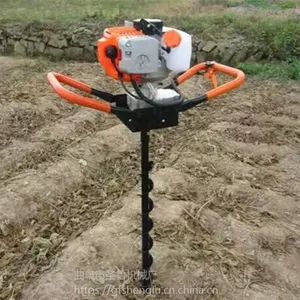 ���ʹ�����ֲ���ڿӻ� ʥ³����ֲ����