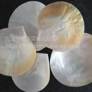 天然贝壳片 抛光黄碟贝 贝壳工艺品