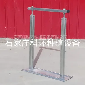 ��ݮ��ֲ�۹滮ͼ ������ֲ�� ��ݮ���������