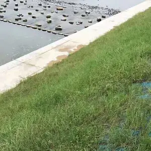 �����ֵ���̬��,�ӵ�ˮ������޸�ֲ���� ����ֲ��̺ Ҭ˿̺ �����̻���̬̺