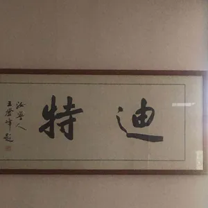 东莞市迪特服饰贸易有限公司
