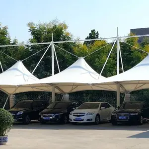 ���С�����г���,��糵��,Ĥ�ṹ���ﳧ��