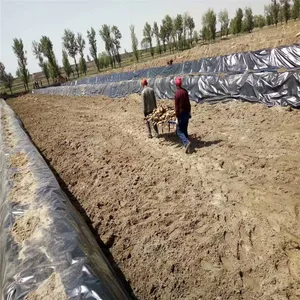 β����������Ĥ���