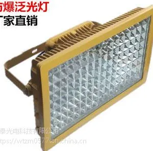 BAD97防爆泛光灯 LED防爆路灯 300W防爆路灯